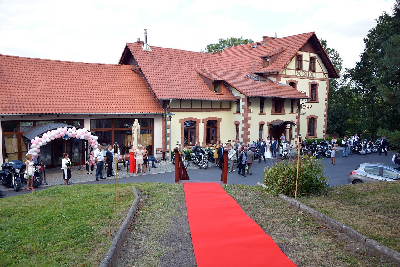 Czocha Palace&Czocha Camping - Or Czocha Lesna  Bagian luar foto